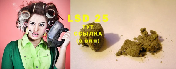 PSILOCYBIN Алексин
