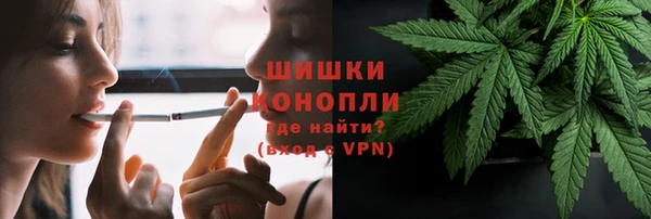 PSILOCYBIN Алексин