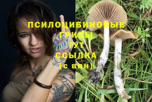 ешки Алексеевка