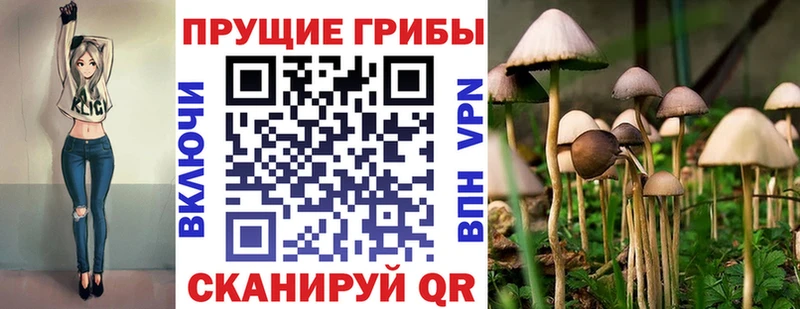 где купить наркоту  Зуевка  Псилоцибиновые грибы мухоморы 